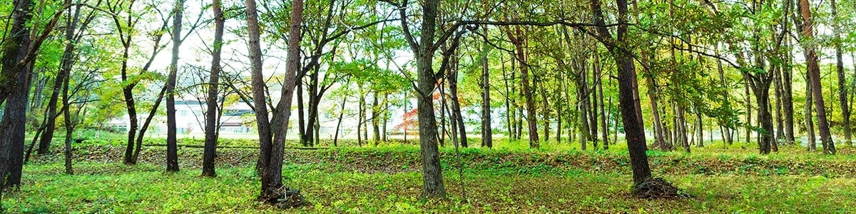 Biodiversity Conservation