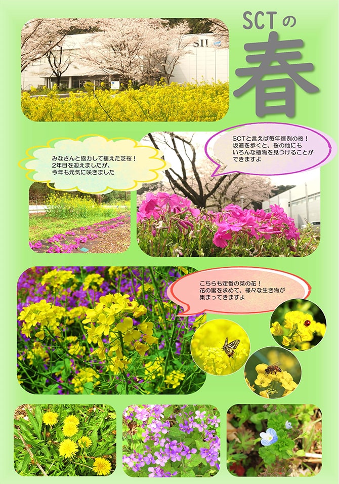 Map of the premises with botanical explanations