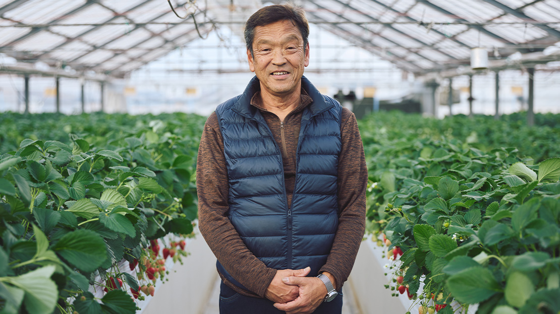 多品種のいちご栽培をデータで裏付ける。セイコーの農業ハウスモニタリングサービス「健農くん」の活用事例