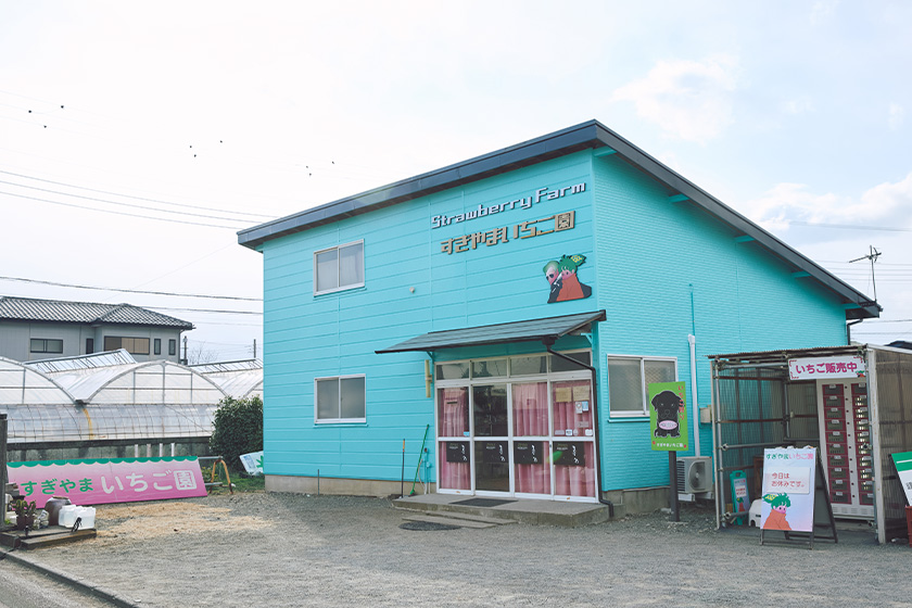 すぎやまいちご園　画像
