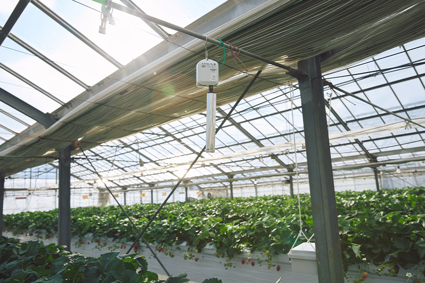 ハウス内に吊るされた「健農くん」の温湿度センサー　画像
