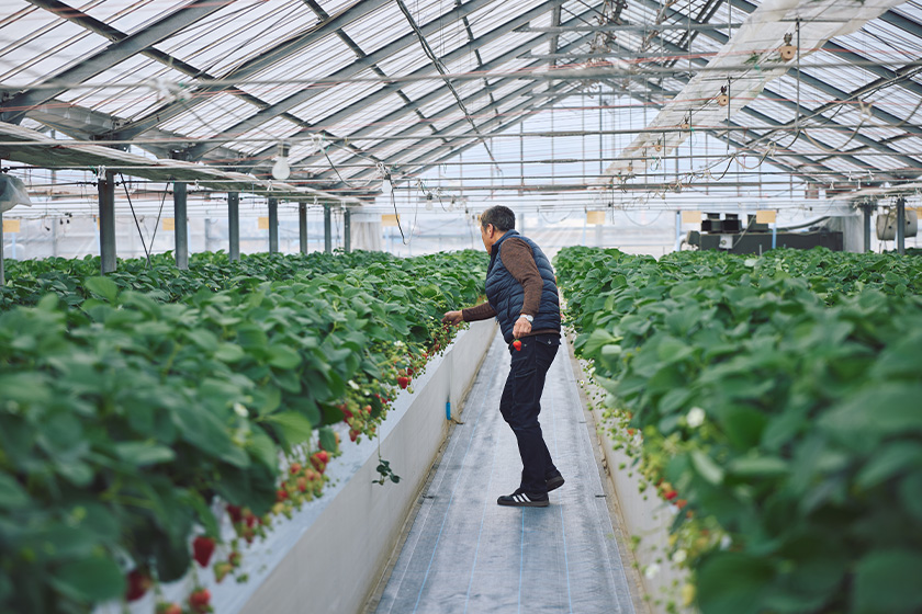 杉山圭一さん　画像