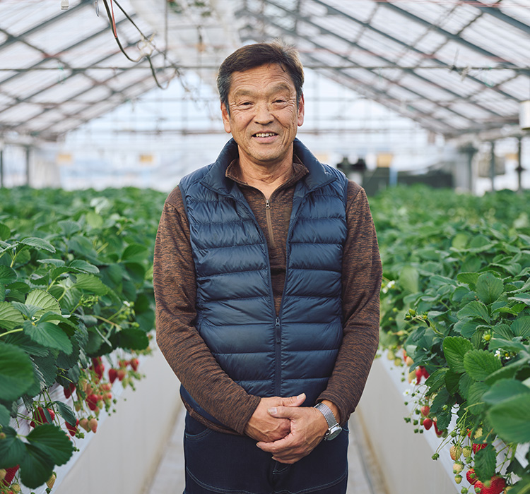 多品種のいちご栽培をデータで裏付ける。セイコーの農業ハウスモニタリングサービス「健農くん」の活用事例