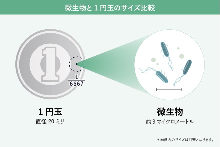 微生物の大きさと1円玉の比較　画像