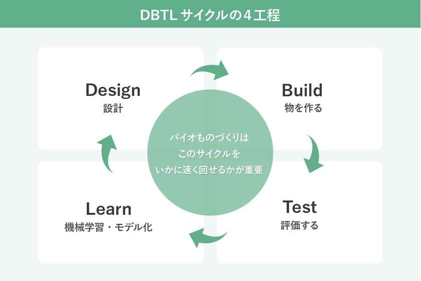 【図解】DBTLサイクルの4工程