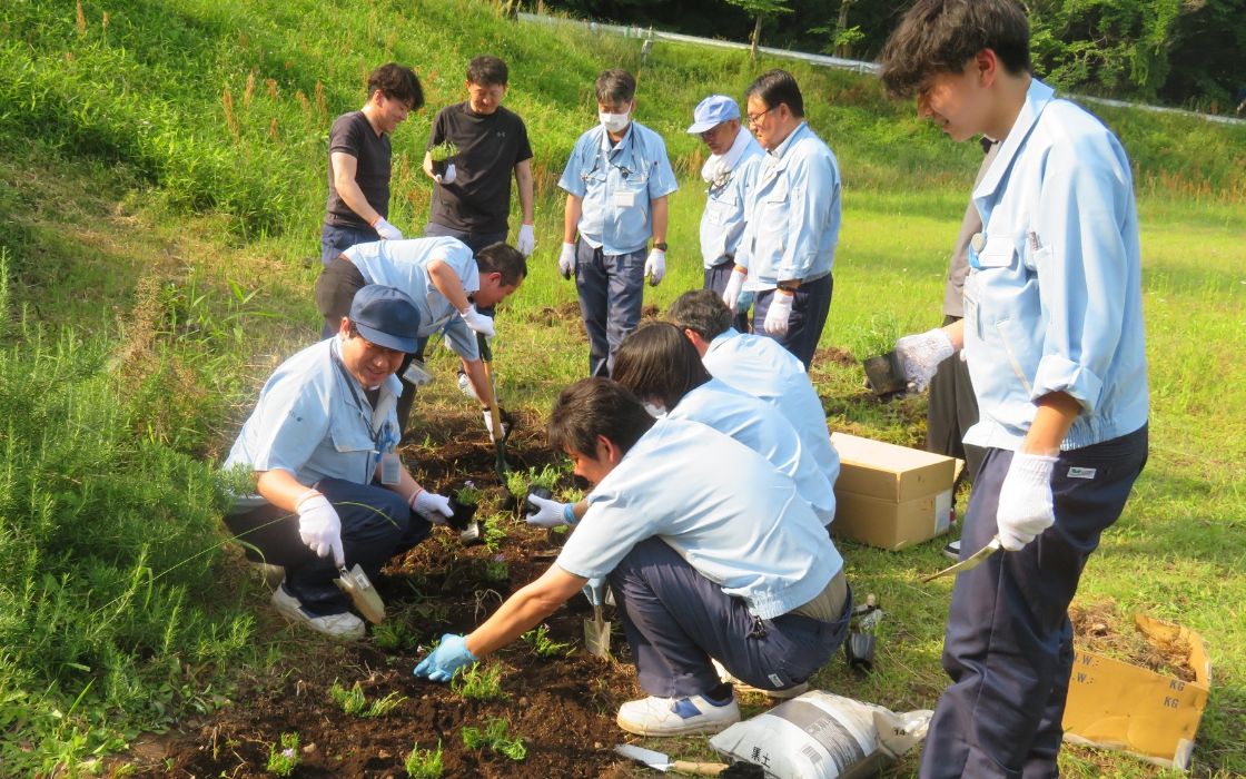 苗を植栽中