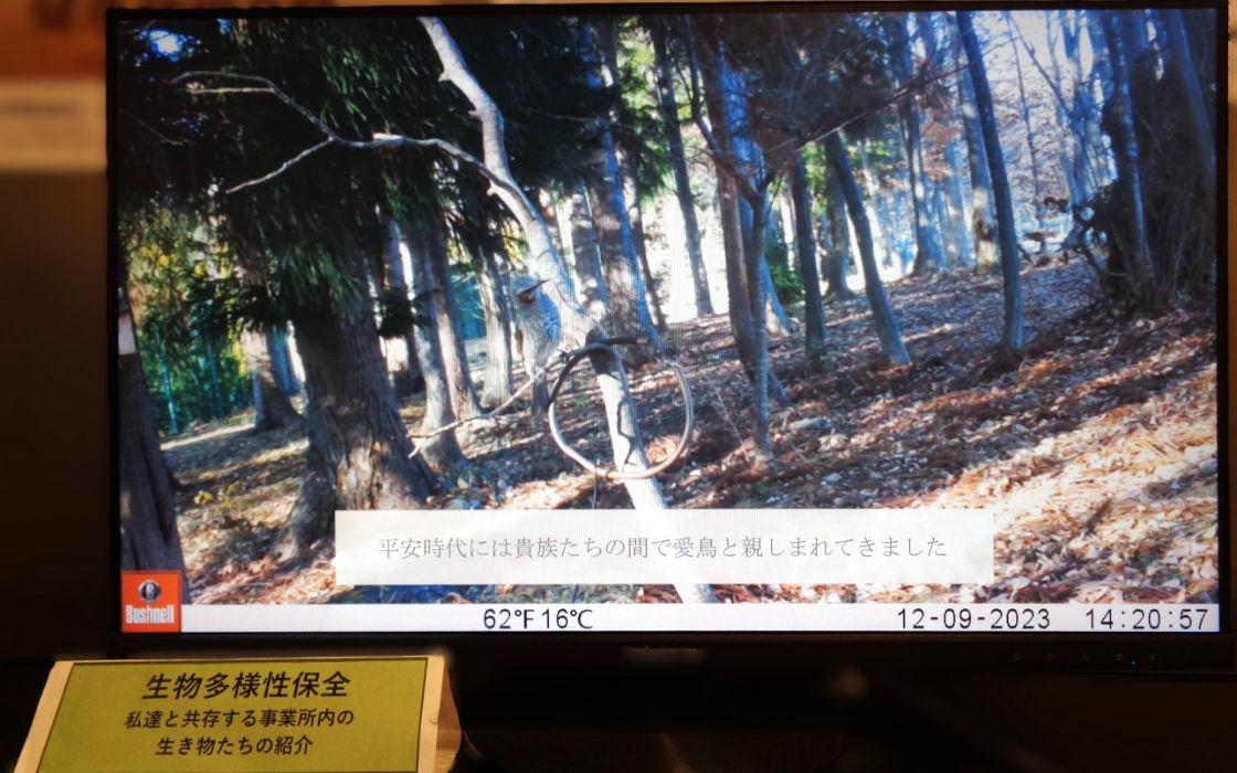 いきものたちの紹介動画公開の様子