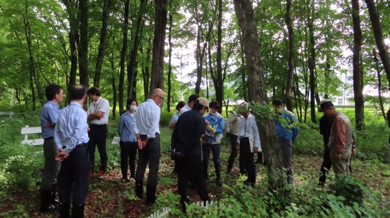 Scenes from the Nature observation event