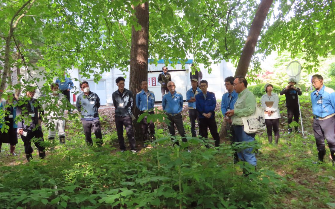 An expert explaining spring plants.