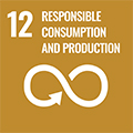 12: RESPONSIBLE CONSUMPTION AND PRODUCTION