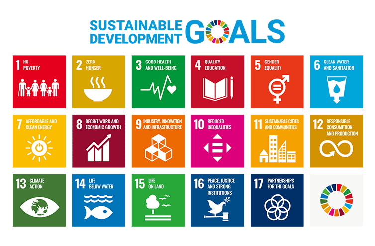 ESG Activities, and SDGs Goals