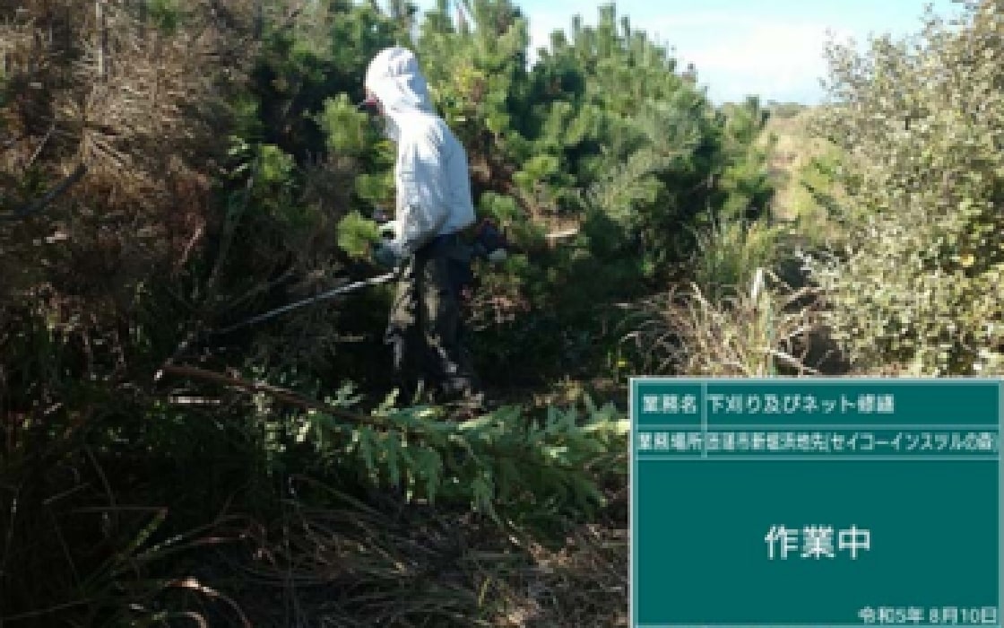 Forest Conservation Activities at Hiraniwa Plateau