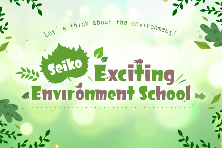 Seiko Exciting Environment School