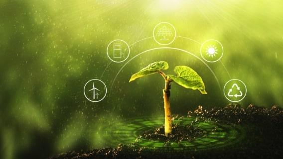 ESG/SDGs Promotion Structure