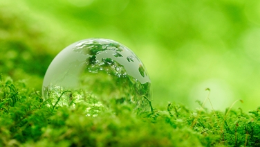 Status of Environmental Policy and Responses