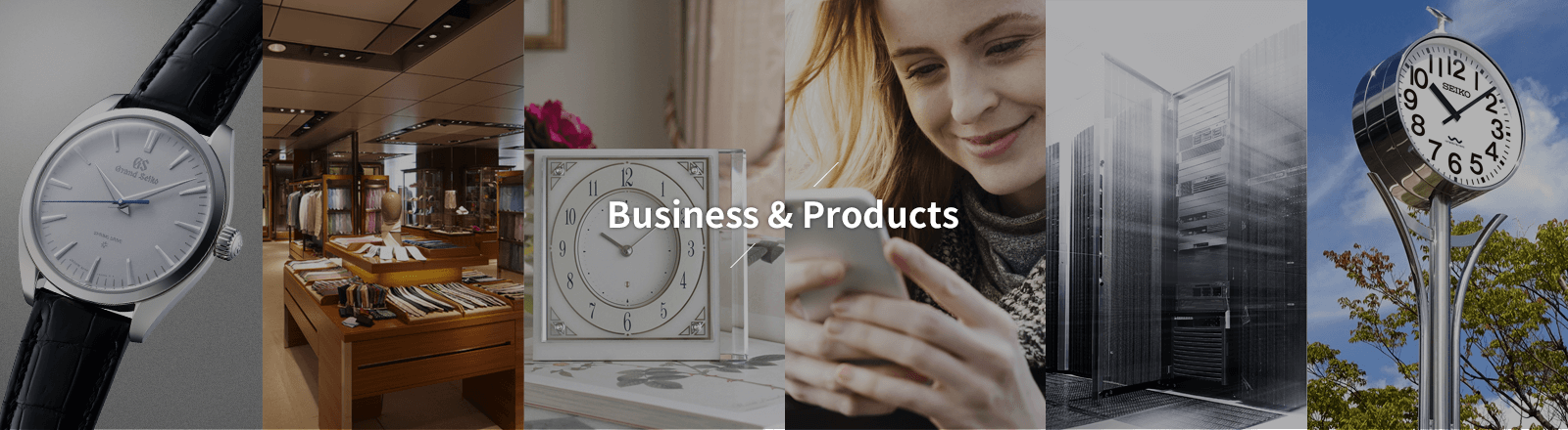 Business & Products