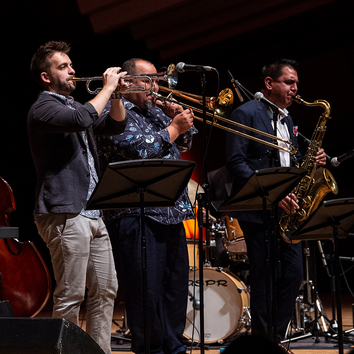 スペシャルライブ