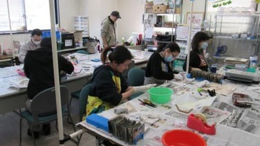 2013年12月 津波で流された写真の洗浄作業