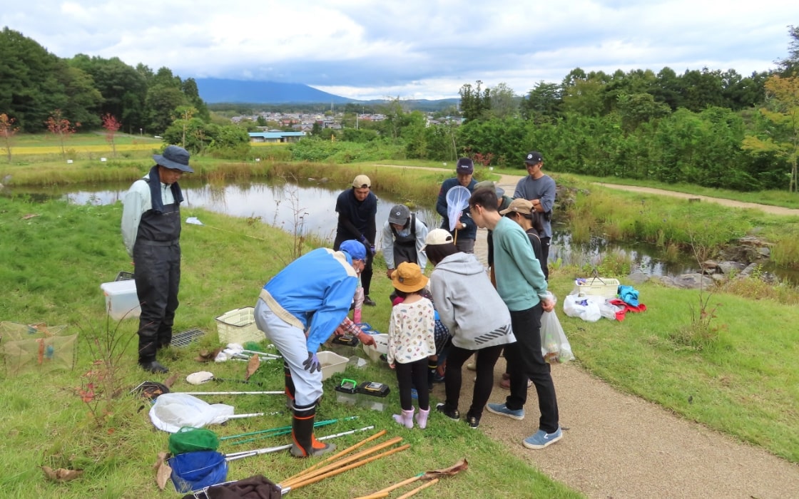 わくわくトープ「生き物調査」 画像