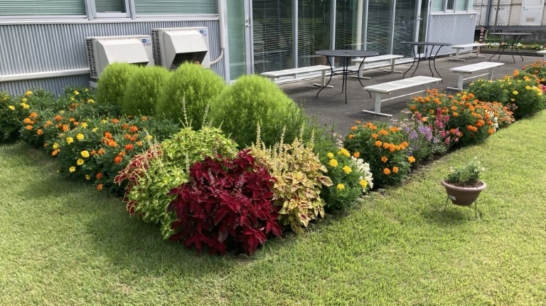 Flower bed created by employees