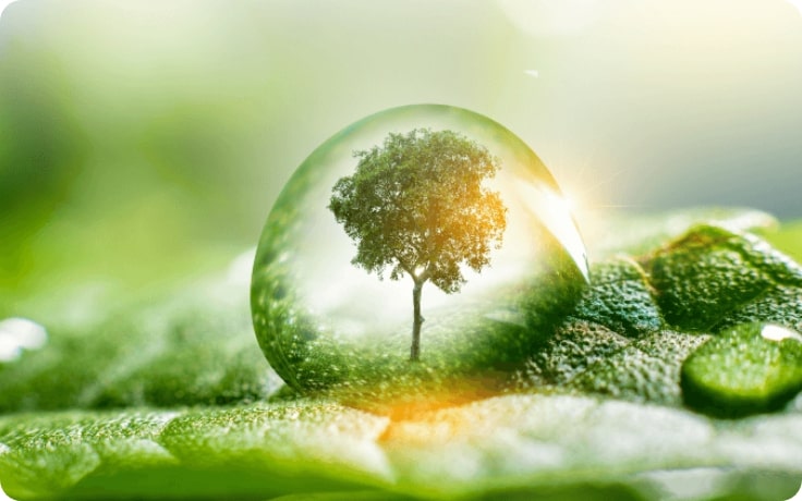 Sustainability Policy