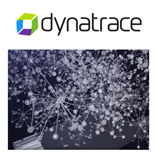 Application performance management solution “Dynatrace”